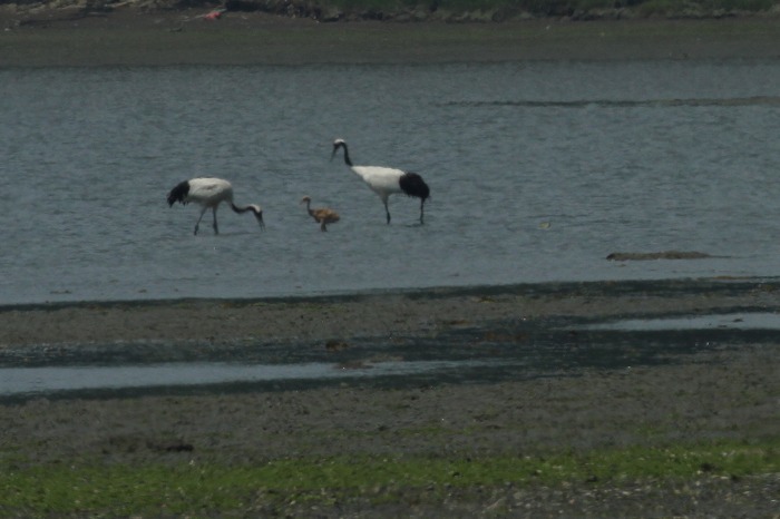 c0155950_06504796.jpg