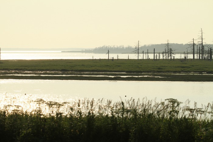 c0155950_07471829.jpg
