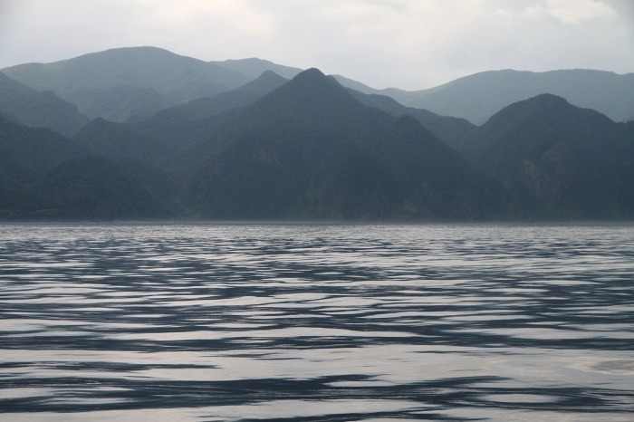 c0155950_19511555.jpg
