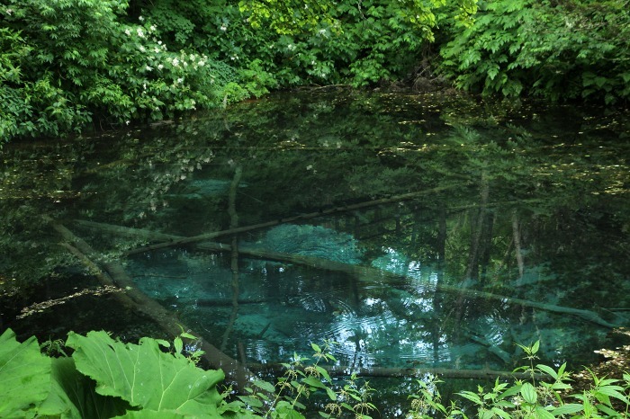 c0155950_20294907.jpg