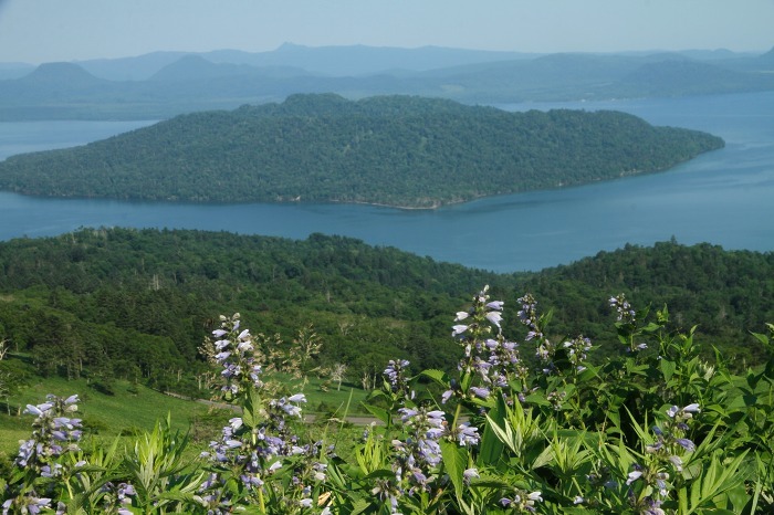 c0155950_21073267.jpg