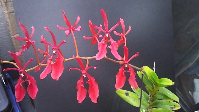 a0265160_00453823.jpg