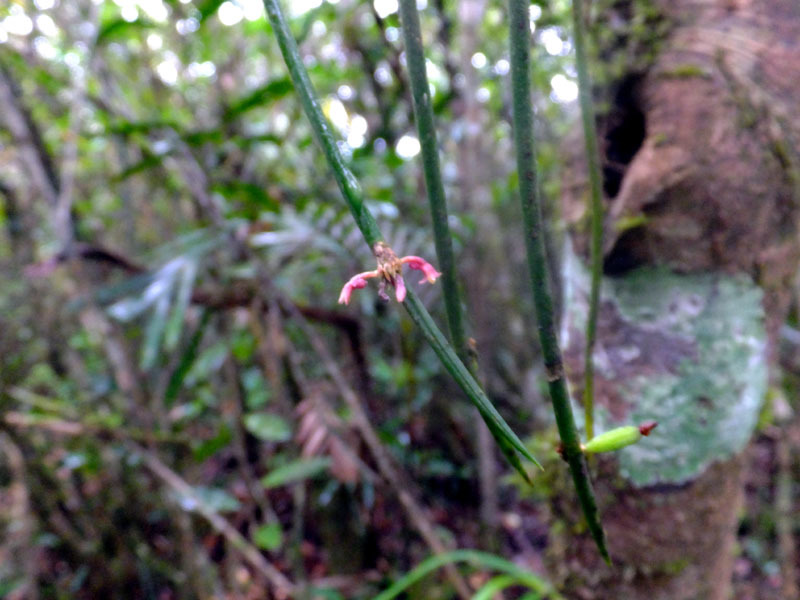 a0265160_21591651.jpg