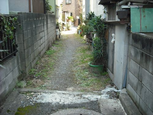 b0206463_12165162.jpg