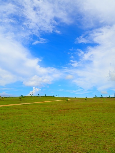 e0132965_16425644.jpg