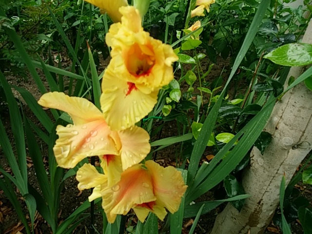f0153475_16572998.jpg