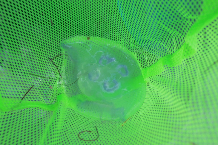 d0363878_2057659.jpg