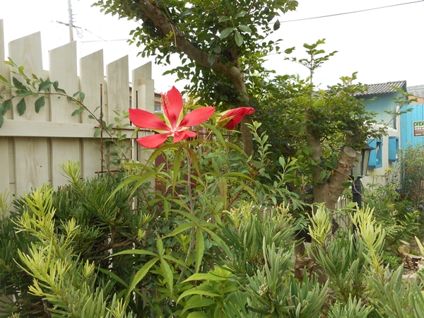 f0366679_12324471.jpg