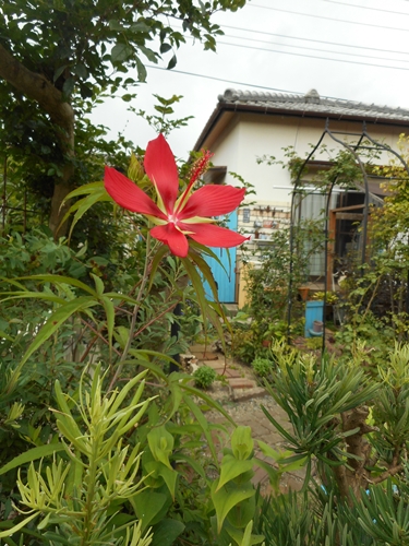 f0366679_12325774.jpg