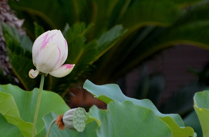 c0229483_0153723.jpg