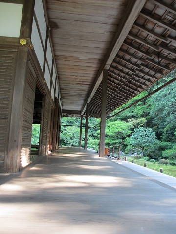 a0177484_12145537.jpg