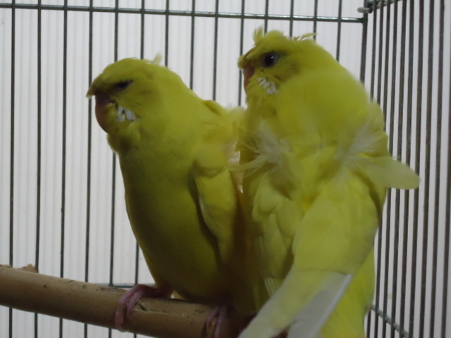 f0244784_13200592.jpg
