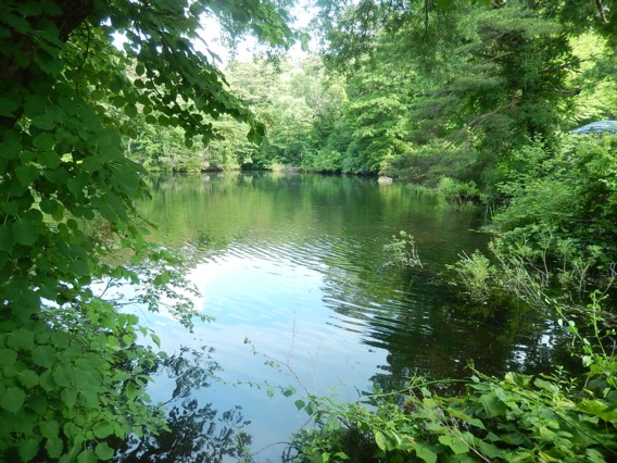 c0144185_14433970.jpg