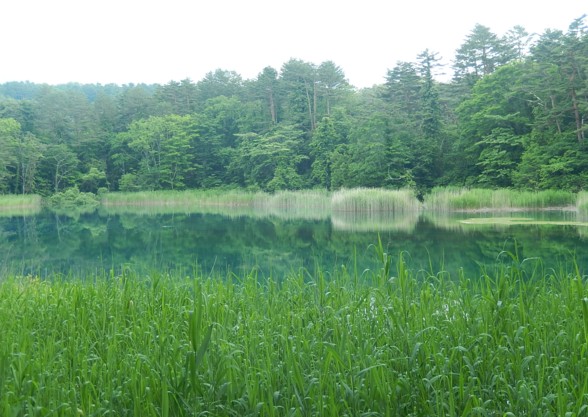 c0144185_15103966.jpg