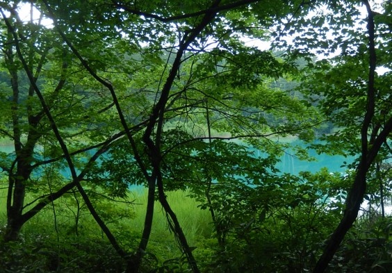 c0144185_15165293.jpg