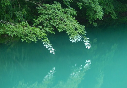 c0144185_1521471.jpg
