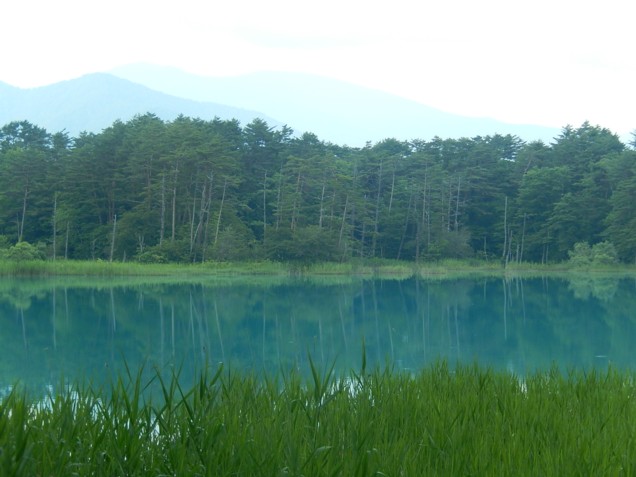 c0144185_15583939.jpg