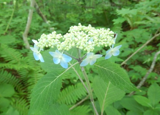 c0144185_1574569.jpg