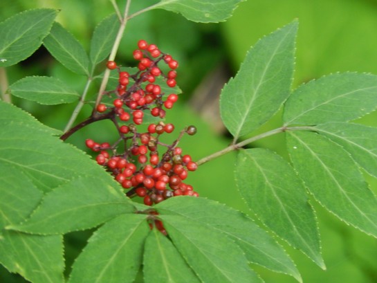 c0144185_162947.jpg