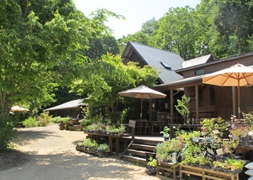f0231785_15351651.jpg