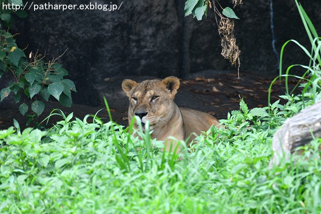 a0052986_714270.jpg