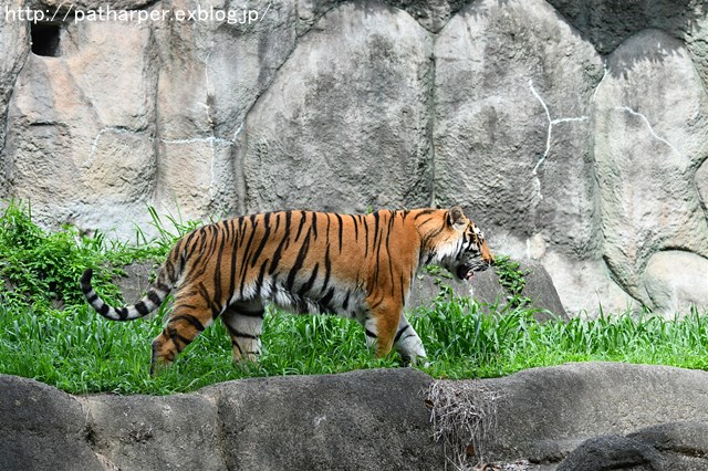 a0052986_730153.jpg