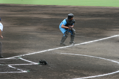 a0134886_19583564.jpg