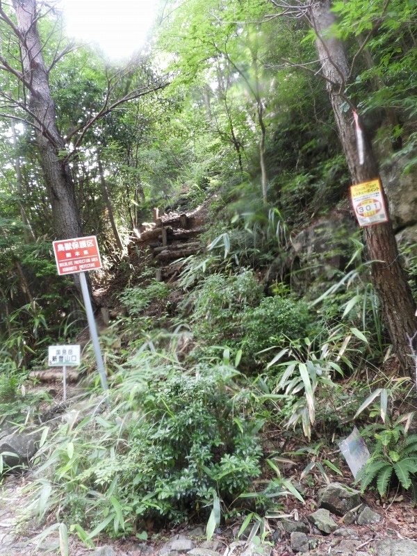 f0357487_23053585.jpg