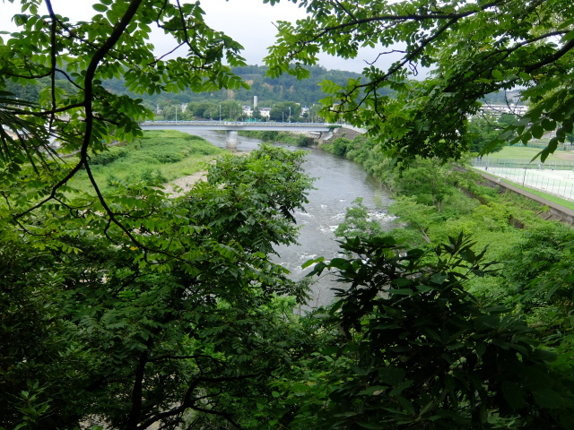f0100593_12170873.jpg