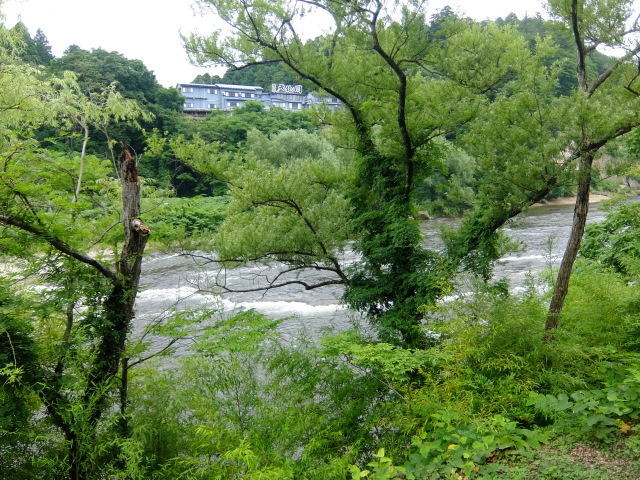 f0100593_12173927.jpg