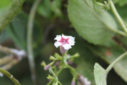 e0354596_22250948.jpg