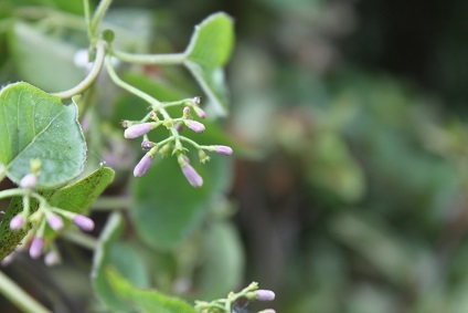 e0354596_22251914.jpg