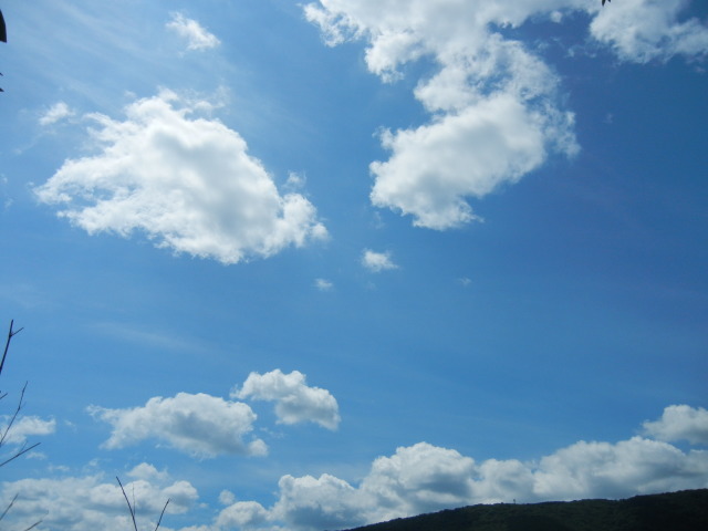 c0361298_21521529.jpg