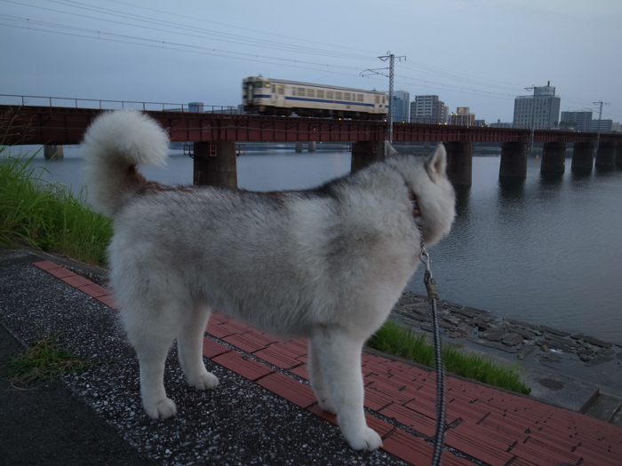c0049299_22544817.jpg