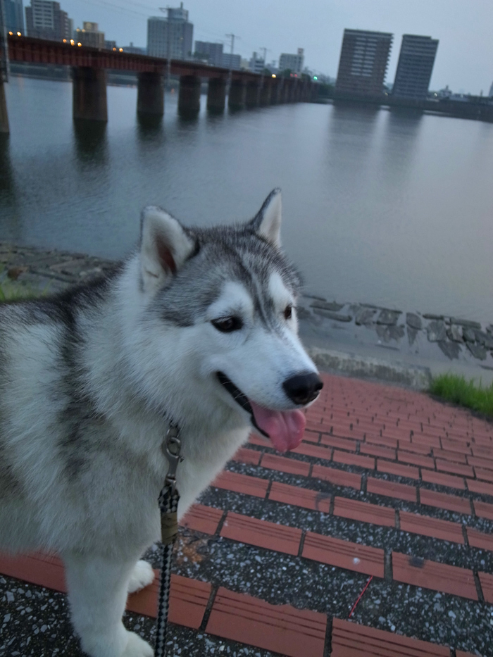 c0049299_22555231.jpg