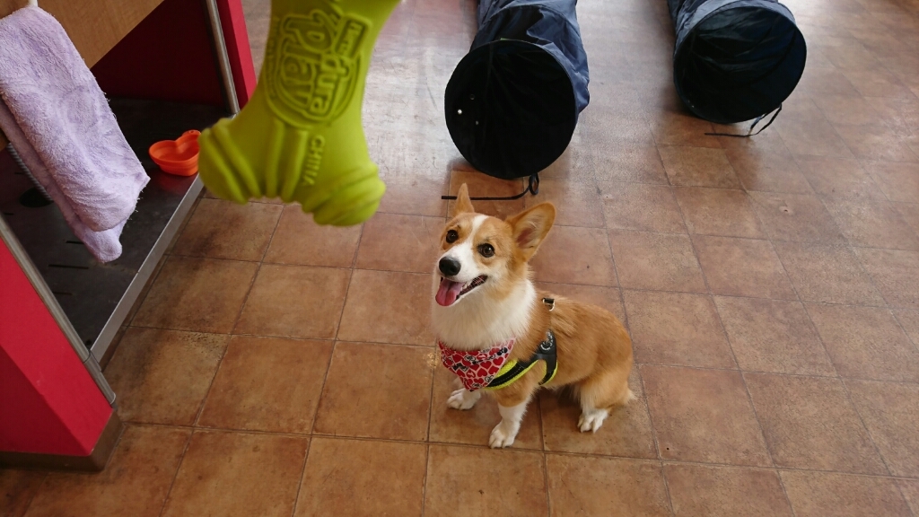 f0371101_12395480.jpg