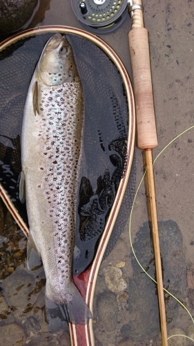 b0172805_14344336.jpg