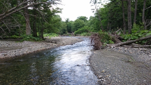b0172805_14471517.jpg