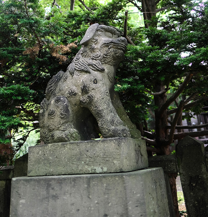 c0082715_13522624.jpg