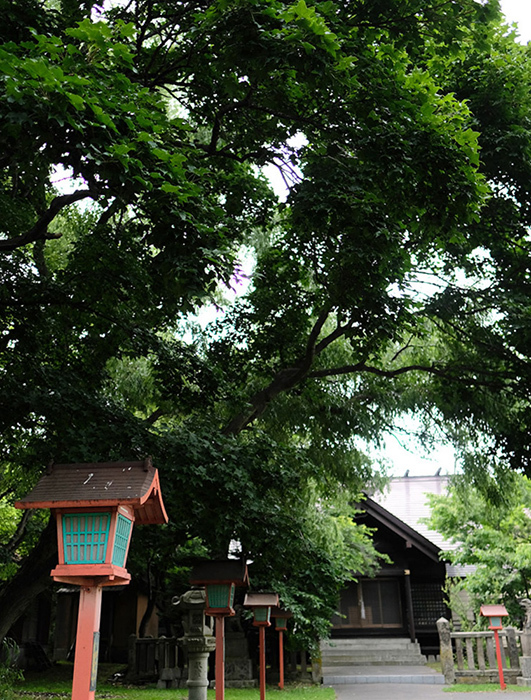 c0082715_13525648.jpg