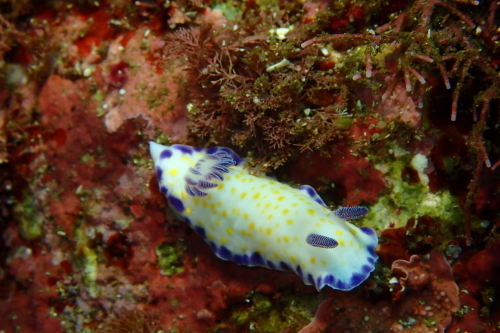 d0070216_18215267.jpg