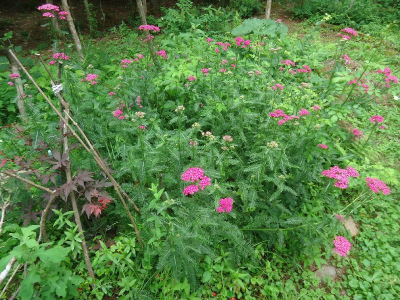 b0248920_23053423.jpg