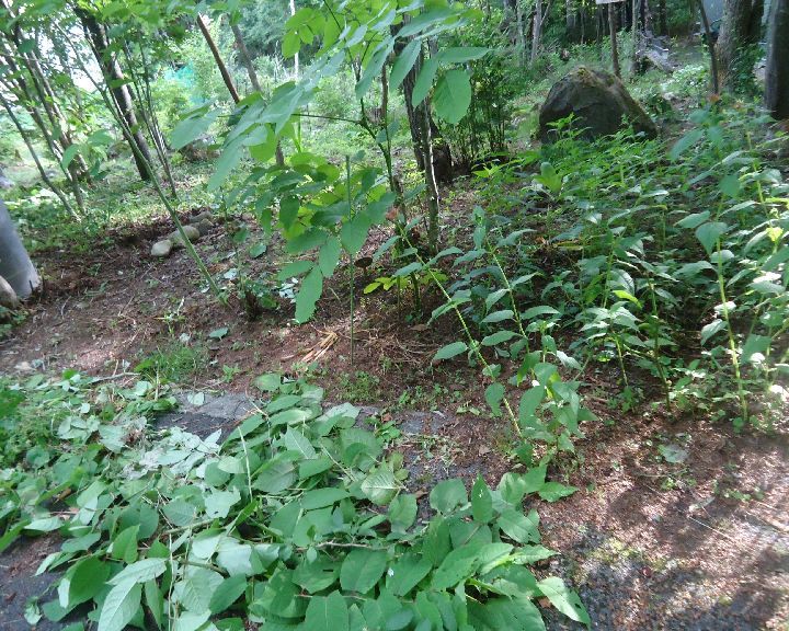 b0248920_23122851.jpg