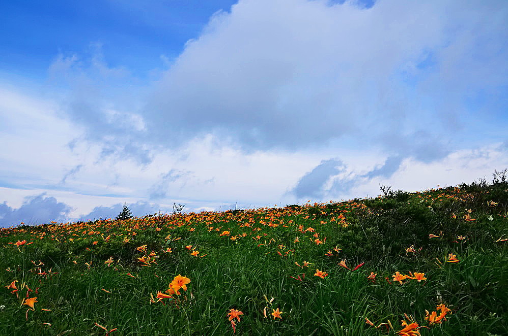 a0287533_21502138.jpg