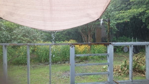 c0229433_11503159.jpg