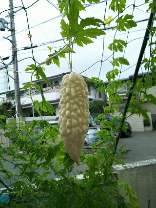 b0118850_21104596.jpg