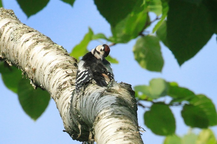 c0155950_07335790.jpg