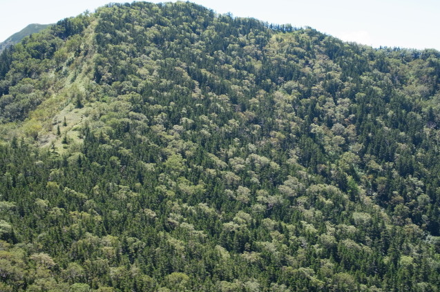a0288155_15091724.jpg