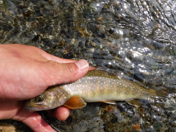 c0249658_17525670.jpg