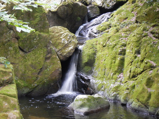 d0231858_13105343.jpg